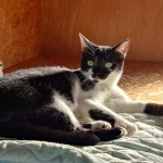 アロちゃん (1).JPG